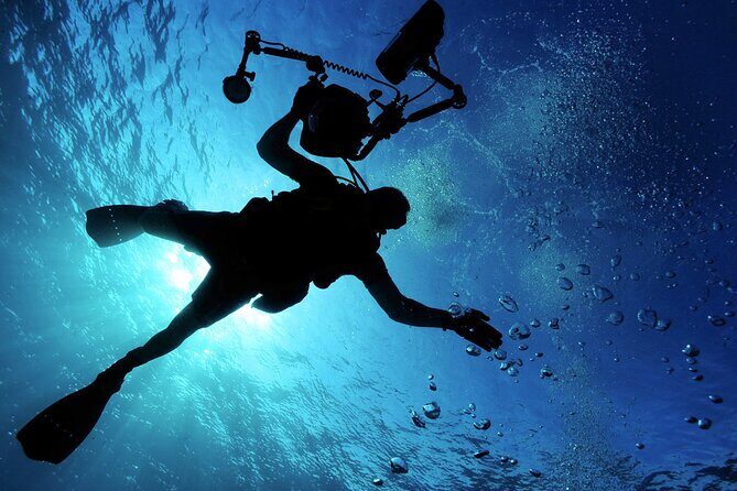 Qualified Diver 1 Tank Dive in Mykonos - Exploring the Underwater World in Mykonos: What to Expect