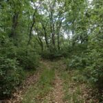 Querceti di Quasano: excursion in the Alta Murgia National Park - The Panoramic Viewpoint and Natural Habitat