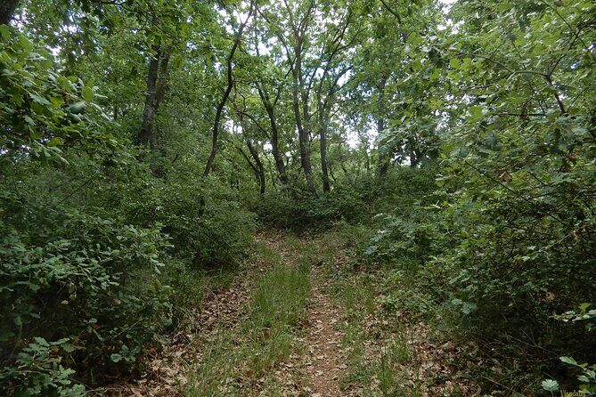 Querceti di Quasano: excursion in the Alta Murgia National Park - The Panoramic Viewpoint and Natural Habitat