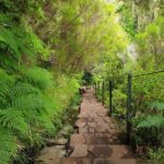 Rabaçal - 25 Fonts - The Value of the Tour