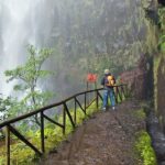 Rabaçal / 25 Fonts - Potential Drawbacks and Considerations