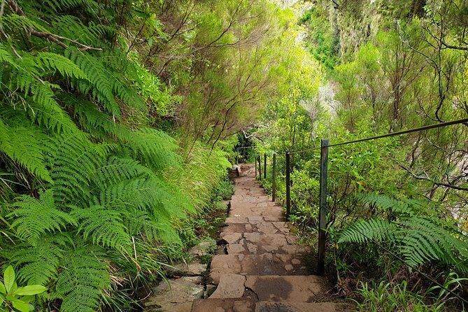 Rabaçal - 25 Fonts - The Value of the Tour