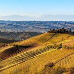 Radda in Chianti: Wine Tasting Tour with lunch at the Winery - Discovering the Monterinaldi Castle and Its Cellars
