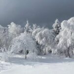 Rambling in Transylvania - Why This Tour Works