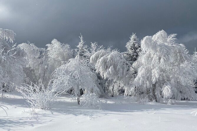 Rambling in Transylvania - Why This Tour Works