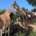 Ravenna: Safari Ravenna entrance ticket - Final thoughts