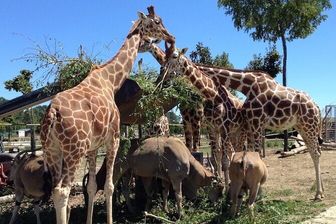 Ravenna: Safari Ravenna entrance ticket - Final thoughts