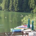 Red Lake and the Bicaz Gorges Day Tour - Who Should Consider This Tour?