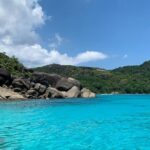 Reef Safari - Snorkeling, Fish Feeding & Lunch (Shared Day Trip) - Key Points