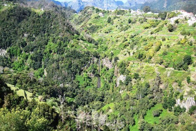 Referta Castelejo Levada Walk from Funchal - Who Should Consider This Tour?