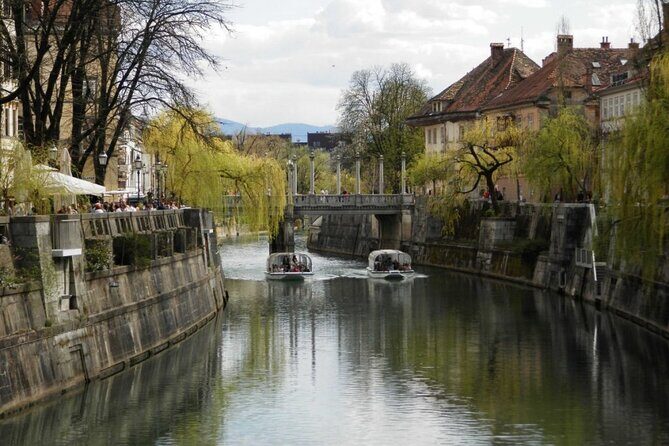 Regular Panoramic Cruise - Who Should Consider This Tour?