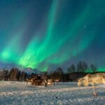 Reindeer Feeding and Sledding, Sami Storytelling Night Tour - The Value of the Experience