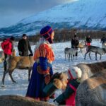 Reindeer feeding & Saami Culture - Who Should Consider This Tour?