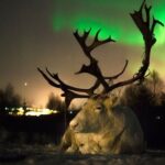 Reindeer feeding & Saami Culture with chance for Northern Lights - A Deep Dive into the Experience
