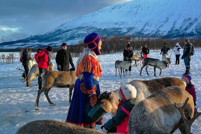 Reindeer feeding & Saami Culture - Who Should Consider This Tour?