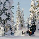Reindeer Safari with Snowmobile and Cross The Arctic Circle Tour from Rovaniemi - Whats Included and Whats Not