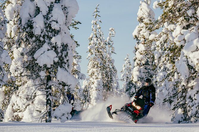 Reindeer Safari with Snowmobile and Cross The Arctic Circle Tour from Rovaniemi - Whats Included and Whats Not