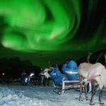 Reindeer Sledding and Feeding with Chance of Northern Lights Tromso - The Experience: What to Expect and How It Unfolds