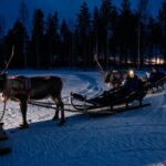 Reindeer sleigh ride across the night in Apukka Resort Rovaniemi - Who is This Tour Best For?