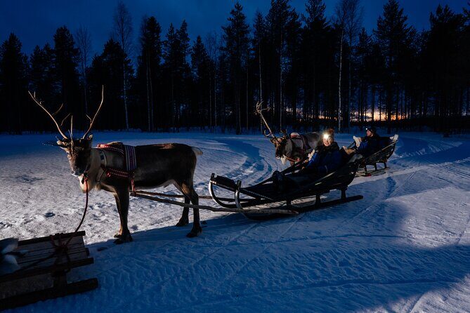 Reindeer sleigh ride across the night in Apukka Resort Rovaniemi - Who is This Tour Best For?