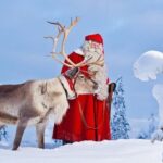 Reindeer Sleigh Ride and Farm Experience from Rovaniemi - Final Thoughts: Who Will Love This Tour?