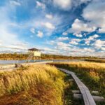 Rejuvenate Like A Local in the Arctic Wilderness - Final Thoughts