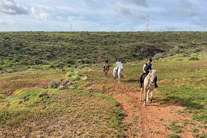 Relaxing Horse Riding Tour in Gran Canaria - The Scenic Route and Highlights