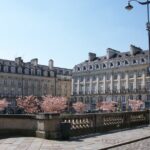 Rennes Private Walking Tour With A Professional Guide - The Experience on the Ground