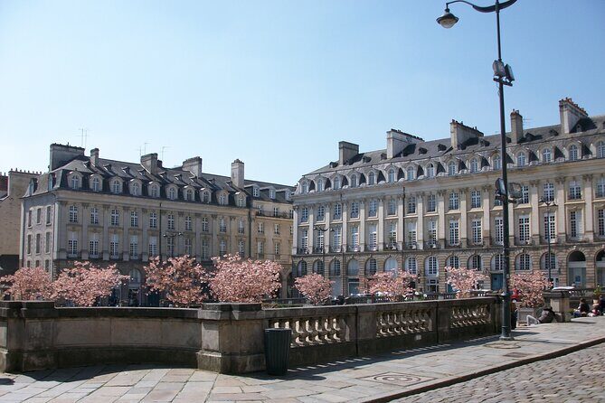 Rennes Private Walking Tour With A Professional Guide - The Experience on the Ground
