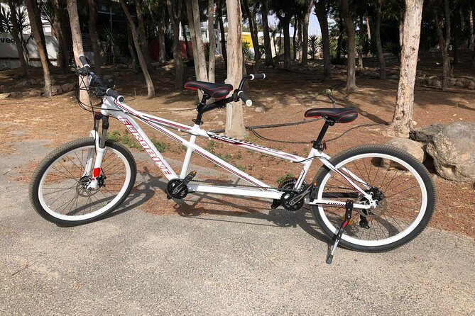 Rent A Bike (electric & Normal) Corralejo - Final Thoughts: Why Choose This Bike Rental?