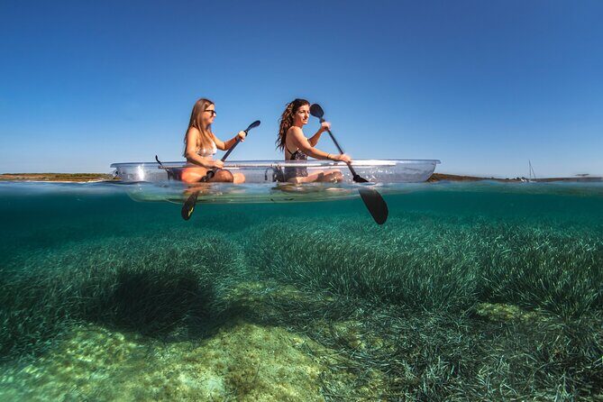 Rent a Transparent Kayak - Discover the Underwater Magic - Who Is This Tour Best For?
