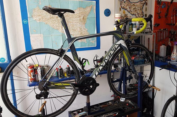 Rent road bike - Who Will Enjoy This Experience?