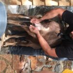 Rethymno: Explore Shepherds Hut and Cheese Making Process - What Makes This Tour Stand Out?