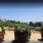 Rethymno: Private Winery & Olive Oil Tasting Tour with Lunch - Who Will Love This Tour?