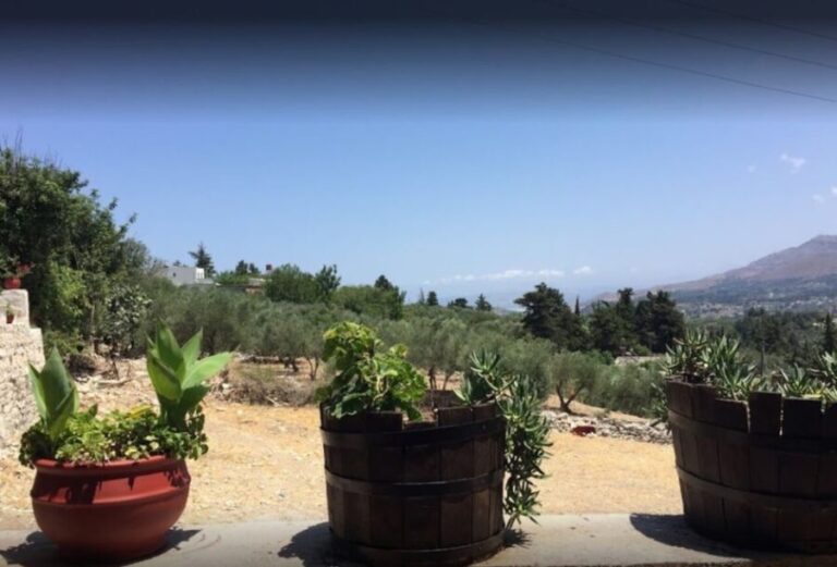 Rethymno: Private Winery & Olive Oil Tasting Tour with Lunch - Who Will Love This Tour?