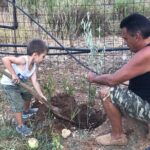 Rethymnon Olive Tree Sponsorship Protect and Plant Tour - Frequently Asked Questions