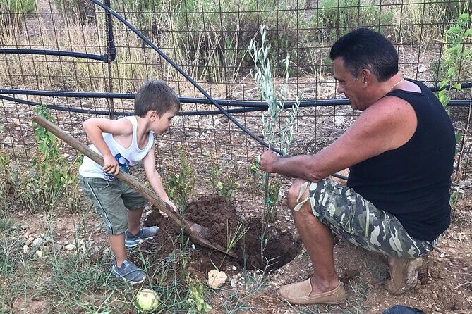 Rethymnon Olive Tree Sponsorship Protect and Plant Tour - Frequently Asked Questions