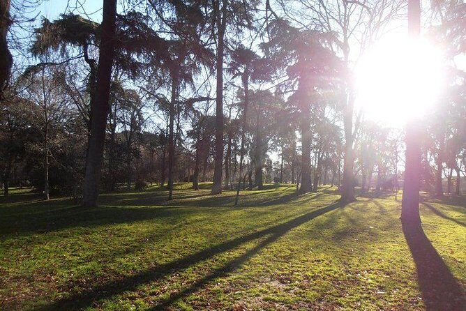 Retiro Park & Prado Museum Private Tour - Who Will Love This Tour?