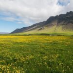 Reykjanes peninsula - Who Is This Tour Best For?