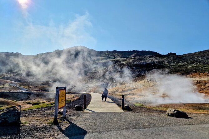 Reykjanes Peninsula Private tour Iceland - Who Is This Tour Best Suited For?