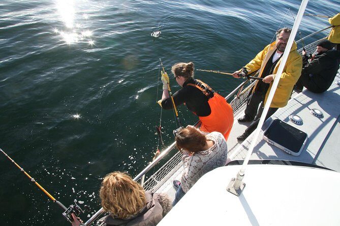 Reykjavik Sea Angling Gourmet - What to Expect: Practical Details and Tips