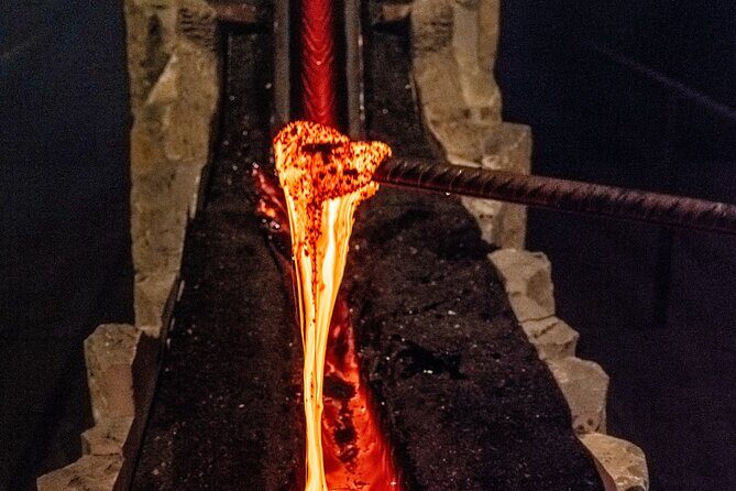 Reykjavik Whale Watching and Lava Show - Who Is This Tour Best Suited For?