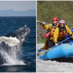 Reykjavik Whales & White Water Rafting Adventure - Authentic Insights from Reviewers
