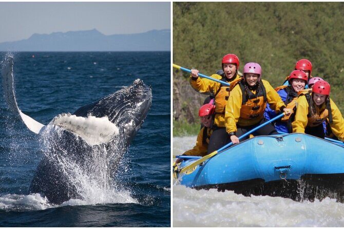Reykjavik Whales & White Water Rafting Adventure - Authentic Insights from Reviewers