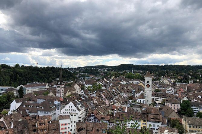 Rhine Falls and Stein am Rhein (Private Tour) - Accessibility and Practical Details