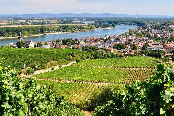 Rhine Valley Wine Tasting Tour from Frankfurt and Mainz - Price and Value