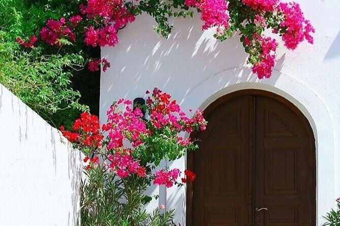 Rhodes, Lindos and Medieval City Guided Tour from Cruise Port - What Travelers Say