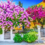 Rhodes Self Drive 4x4 Offroad Adventure with Gourmet Lunch - Practical Insights and What Youll Love