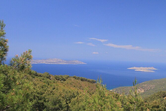 Rhodes Self drive 4x4 Safari Adventure - South pick ups - Authentic Experiences & Insights from Reviewers