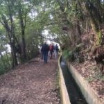 Ribeiro Frio - Portela - The Experience of the Guides